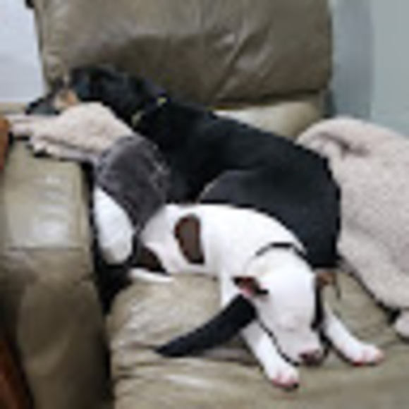 Meet your Posher, Laura - Picture 1 of 1